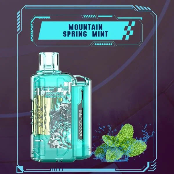 Iget Flare B10000 – Mountain Spring Mint - Vap in Delhi